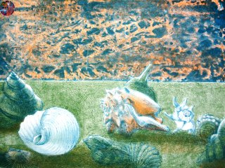 026V - Storia di Vecchie Conchiglie  (Story of the Shells ) - cm. 50x70 - Litografia (Lithography)